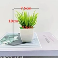 Artificial succulent in white square pot 10cm height for office desk decoration - Square Pot Sword Grass