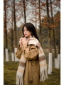 Rainbow plaid scarf in beige and brown stripes with tassels for autumn fashion - Coffee Stripe