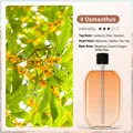 Osmanthus scent fragrance refill bottle for automatic air freshener dispenser - Osmanthus Scent Essential Oil