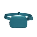 Waterproof nylon sports waist bag in deep cyan color with adjustable strap for running - Teal