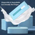 Single pack biodegradable wet wipe in light blue eco-friendly packaging for travel - Eco-friendly Flushable Style / Light Blue