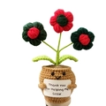 Handmade crochet potted plant with red flowers and positive message card decoration - Three-head Puff Flower Gradient Green