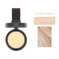 Hairline shadow powder in shade #22 light beige for blonde or silver hair styling - 22# Beige
