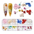 Japanese style 12-grid nail art dried flower set with pink and blue blossoms - Red and Blue Contrast Series (NDF-21-05)