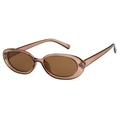 Retro oval sunglasses with translucent brown frames and tinted brown lenses - Champagne Frame Tea Lens