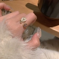 Elegant gold open ring featuring a white rose and heart gemstone on a hand - Gold Rose Heart Open Style (J3254)