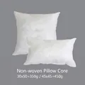 White non-woven pillow inserts in 30x50cm and 45x45cm sizes for Christmas cushions - 30*50cm (350g) / Non-woven Pillow Insert