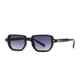 Retro black acetate sunglasses with purple gradient lenses and gold arrow hinges - C2 Black Frame Double Grey Lens