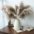 Vintage Keramikvase in Cremeweiß mit Eis-Crackle-Glasur und zehn getrockneten Schilfrohren - Cremeweiße Vase mit 10 Schilfrohren