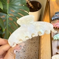 Detail of pearlescent white acetate hair claw clip showing glossy shell texture finish - Large / White Mermaid