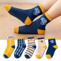 Five-pack of cotton dinosaur socks for kids featuring stripes and navy blue patterns - Airplane Children's Socks / 3-5 Years (Feet length 13-15cm)