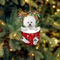 30-Bichon
