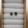 Four-claw black raw stone earrings with gold plating in a beige velvet jewelry box - Tourmaline