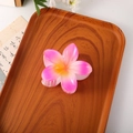 Charming pink and yellow gradient frangipani hair claw clip in high-quality resin - Gradient Pink