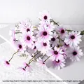 Aster Light Purple