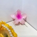 Pink gradient frangipani hair claw clip on book with sunflower and pearl accessories - 8cm / Rose Red