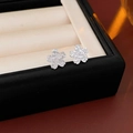Boucles d'oreilles fleur en argent avec finition mate scintillante sur un écrin - Argent (138# Style Fleur à Cinq Pétales Givrée)