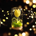 Luce notturna tulipano giallo all'uncinetto in cupola di vetro con luci LED calde - Tulipano Giallo