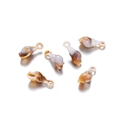 Detailed macro shot of conch shell pendants for DIY jewelry crafting on white background - Conch 6 B52