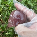 Teschio di cristallo naturale da 5 cm intagliato a mano in rosso-viola con finitura lucida - Quarzo Fragola