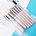 8-teiliges Make-up-Pinsel-Set mit Holzgriffen und silbernen Zwingen in Klarsichttasche - Beige Set