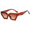 Lunettes de soleil œil de chat géométriques avec monture et verres marron transparent - Thé Transparent