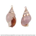 Natural conch shell pendants with gold electroplated edges for DIY jewelry making - Frosted White Texture Style (BTA144-10)