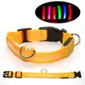 Yellow LED dog collar in size S with USB charging and durable nylon webbing material - XS-Battery / Yellow