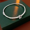 Macro detail of silver zircon oval bangle showing refined stones on a jewelry box - Silver