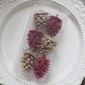 Set de 6 piñas de Navidad en terciopelo rojo y purpurina dorada en caja de regalo - Piña Flocada Roja y Dorada con Purpurina 6CM Mixta Pack de 6 / 6CM/6 Piezas
