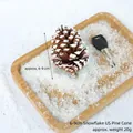 Pine cone with artificial snow for DIY Christmas decor, 6-9cm size, set on wooden tray - 6-9cm Snow-covered American Pine Cones
