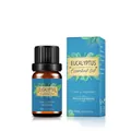 Eucalyptus essential oil 10ml in amber glass bottle with blue organic packaging box - Eucalyptus Oil