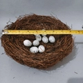 Brown woven bird nest with 8 white speckled eggs for Easter decoration, 9 inch diameter - 20CM Rattan Bird Nest