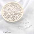5,5x3,5 mm weiße ovale ABS-Perlen für handgefertigten DIY-Schmuck und Halsketten - Stil 35 Kleine Reisform 5.5x3.5mm Weiß 50 Stk./Packung