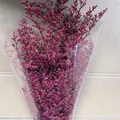 Preserved purple Limonium flower bouquet in transparent cone-shaped plastic wrap - Rose Pink (120g)