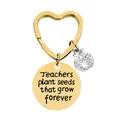 Golden heart-shaped keychain with apple charm and engraved inspirational teacher quote - JSYZ002 Teachers plant seeds that grow forever / Gold