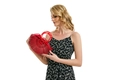 Bolso de mano de bambú rojo semicircular con asas de acrílico y bolsa interior roja - Pequeño / Rojo
