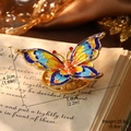 Detail of vintage enamel butterfly brooch with gold frame on an antique book - Enamel Butterfly Brooch (BR1-2712A-7500)