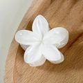 Elegant white plumeria flower hair claw clip made of resin on a wooden tray - 4cm / White