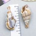 Natural conch shell pendant with gold plating and spiral texture for DIY jewelry crafts - Cream Acrylic Ocean Conch 45x19x16mm (23606)