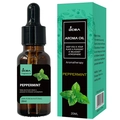 Peppermint fragrance oil in 20ml brown dropper bottle with matching packaging box - DC-20 Peppermint / 20ml