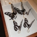 Detailed macro of black butterfly fringe earrings with pearl pendants in a jewelry box - Silver Earring Post-Black