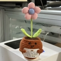 Handmade crochet positive potato doll in a brown pot with pink and blue flowers - Small Pink Flower 2