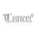 Silver stainless steel Cancer zodiac letter pendant with connector loops for jewelry making - Silver-Cancer