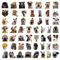 Cuadrícula detallada de pegatinas de animales divertidos con perros, gatos y tigres - 50 Piezas/Paquete / Multicolor