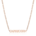 Rose gold stainless steel necklace with Capricorn pendant on a Figaro style chain - Rose Gold Capricorn