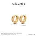 Dettaglio orecchini a cerchio in acciaio dorato 12x4mm con zirconi cubici incastonati - Bianco Oro