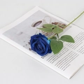 Single navy blue velvet artificial rose placed on an open book for home floral decor - Small Velvet Blue