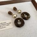 Irregular acrylic bead earrings in brown and gold finish on a vintage wooden tray - Silver Earring Post - Dark Coffee