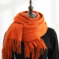 Solid orange cashmere-like scarf with thick tassels displayed on a black mannequin - Orange
